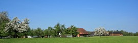 Spitzägger